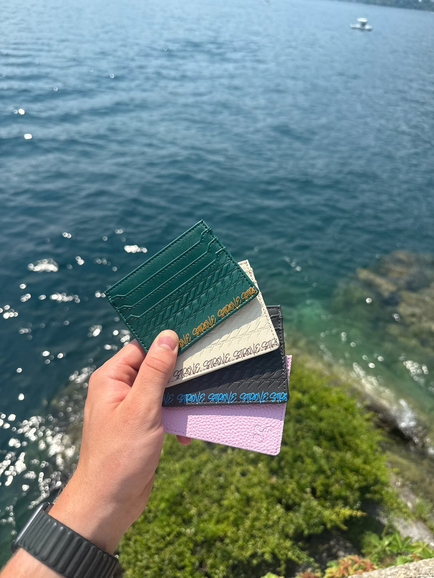Cardholder